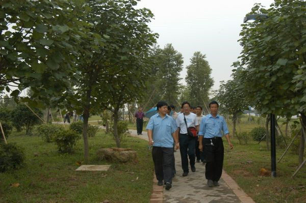 图片说明