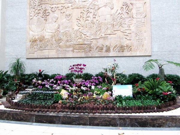 图片说明
