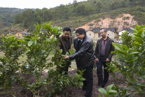 图片说明