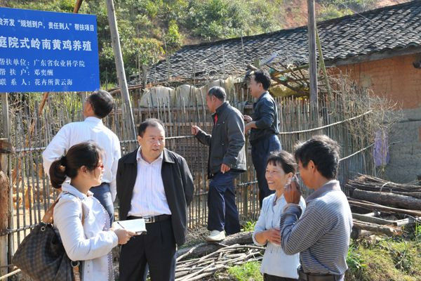 图片说明