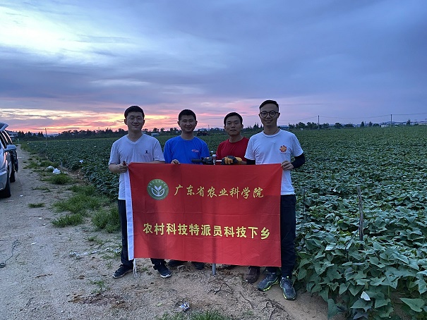 图片说明