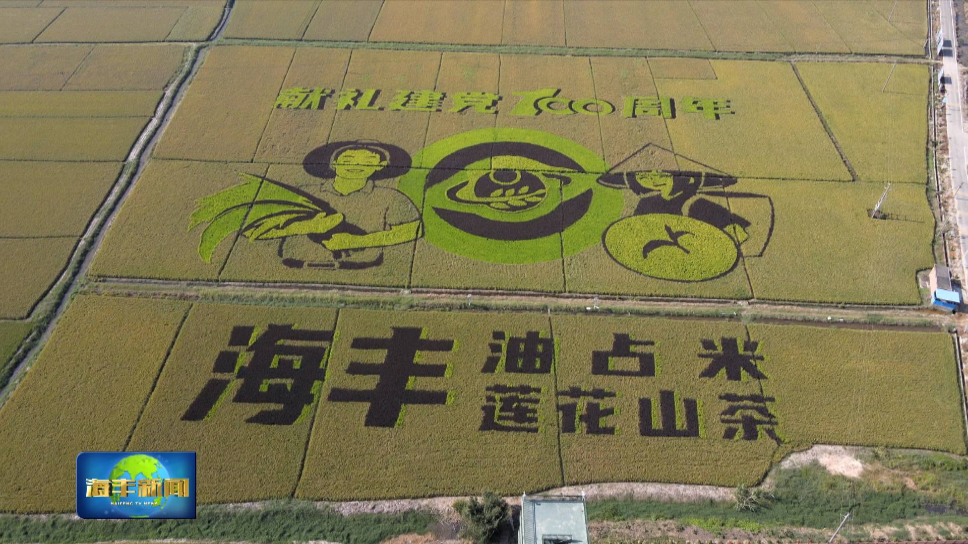 图片说明