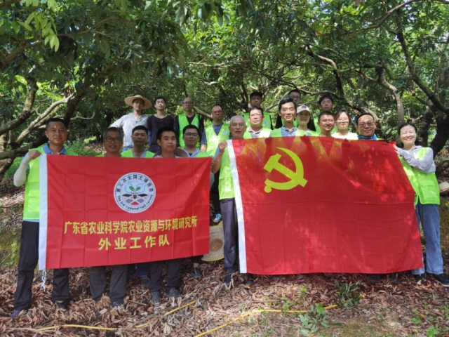 图片说明