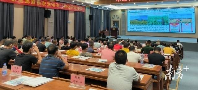 图片说明