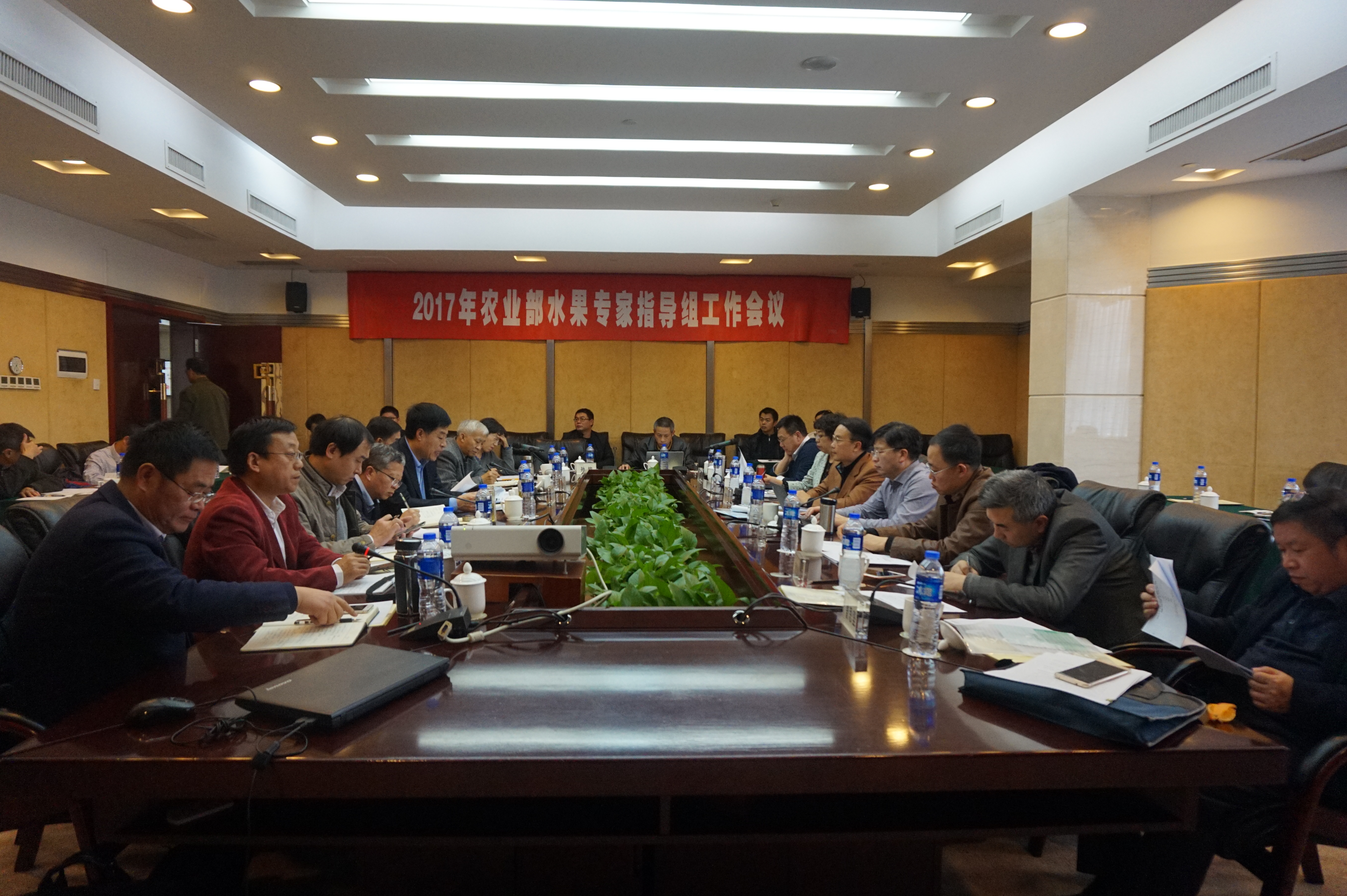 图片说明