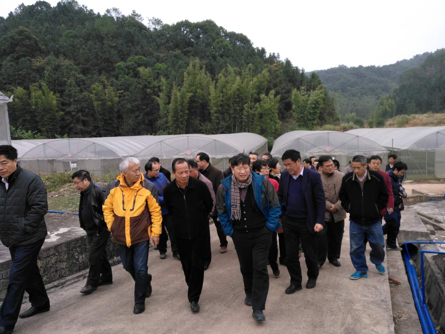 图片说明