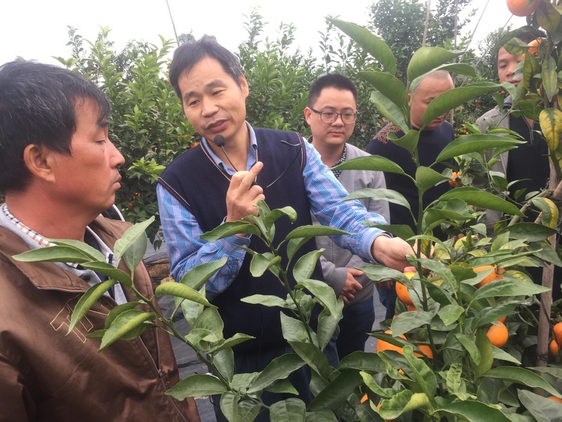图片说明