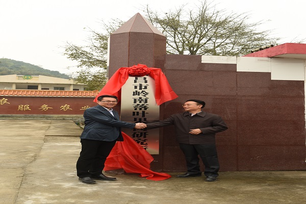 图片说明