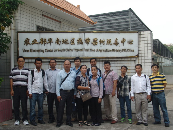 图片说明