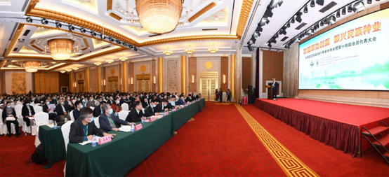 图片说明