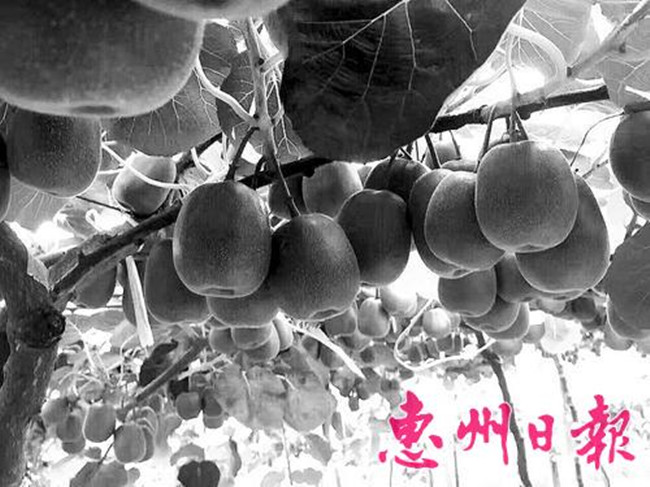 图片说明