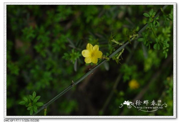图片说明