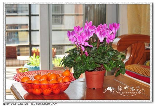 图片说明