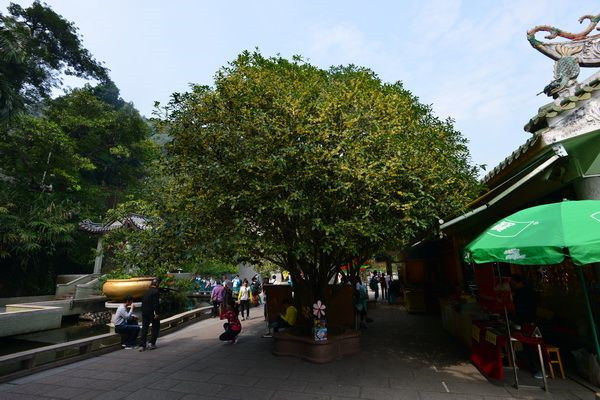 图片说明
