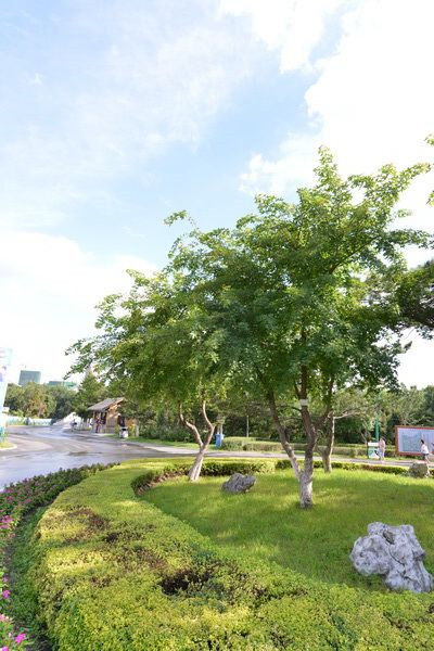 图片说明