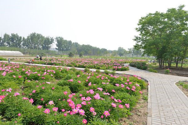 图片说明
