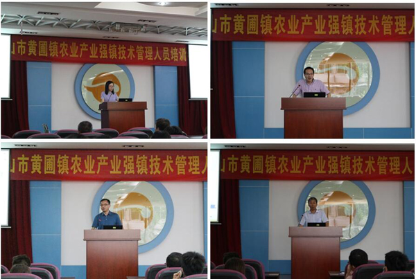 图片说明
