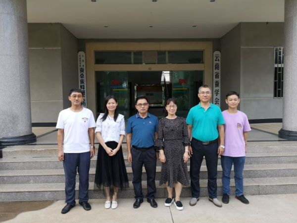 图片说明
