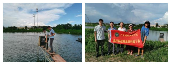 图片说明