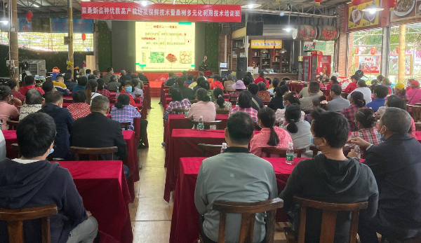 图片说明