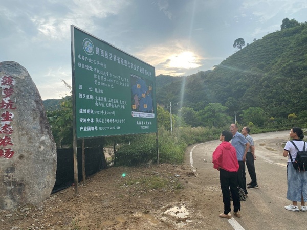 图片说明