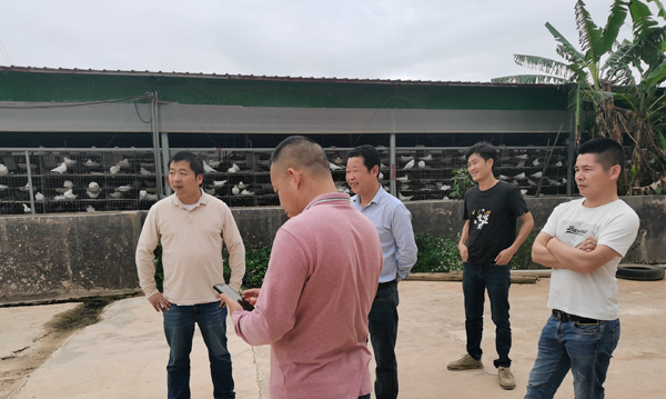 图片说明