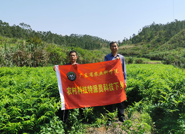 图片说明