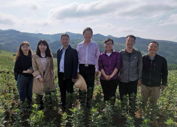 图片说明