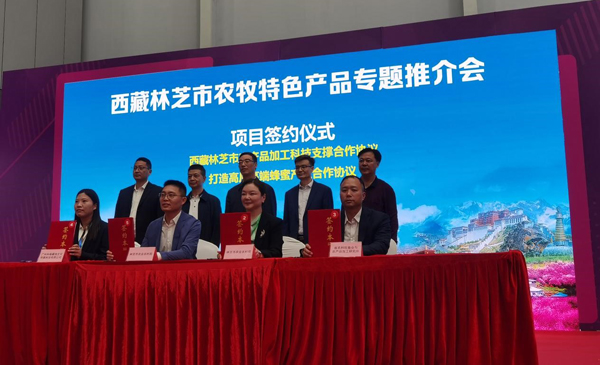 图片说明