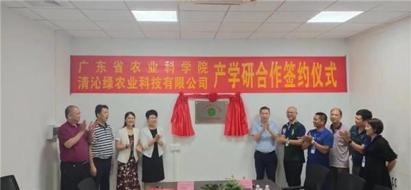 图片说明