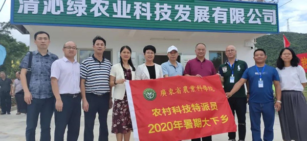 图片说明