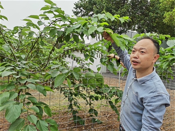 图片说明