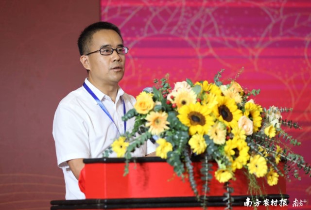 图片说明