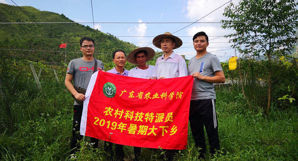 图片说明