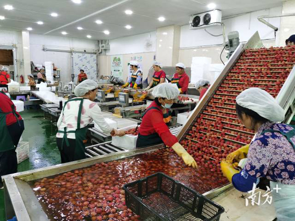 图片说明