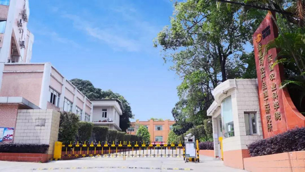 图片说明