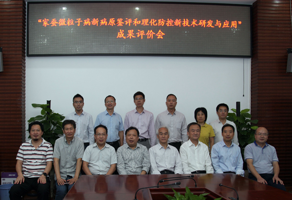 图片说明