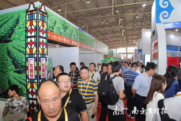 图片说明