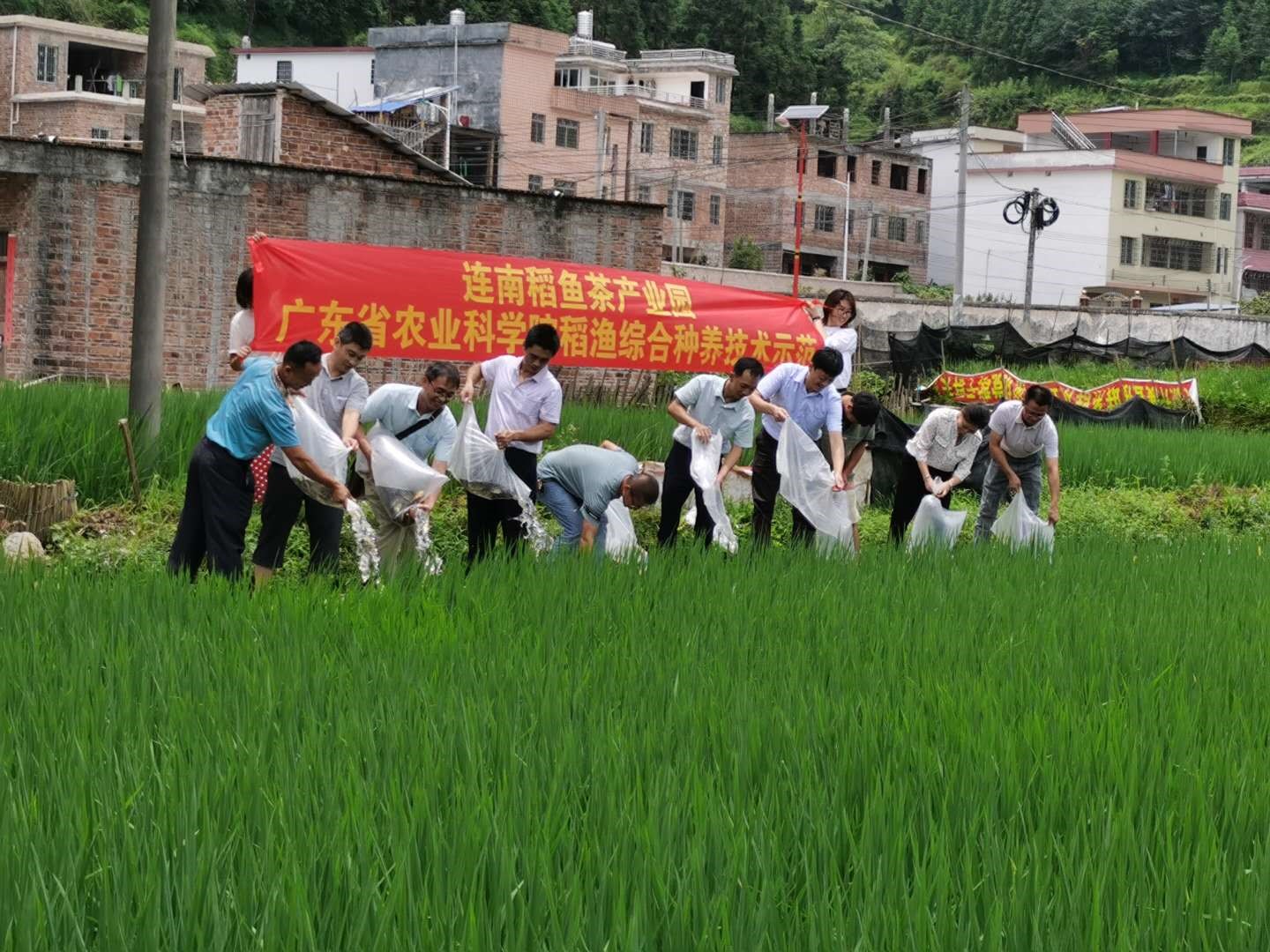 图片说明