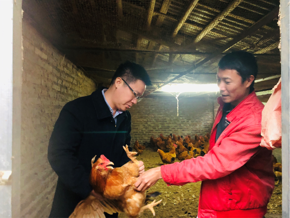 图片说明