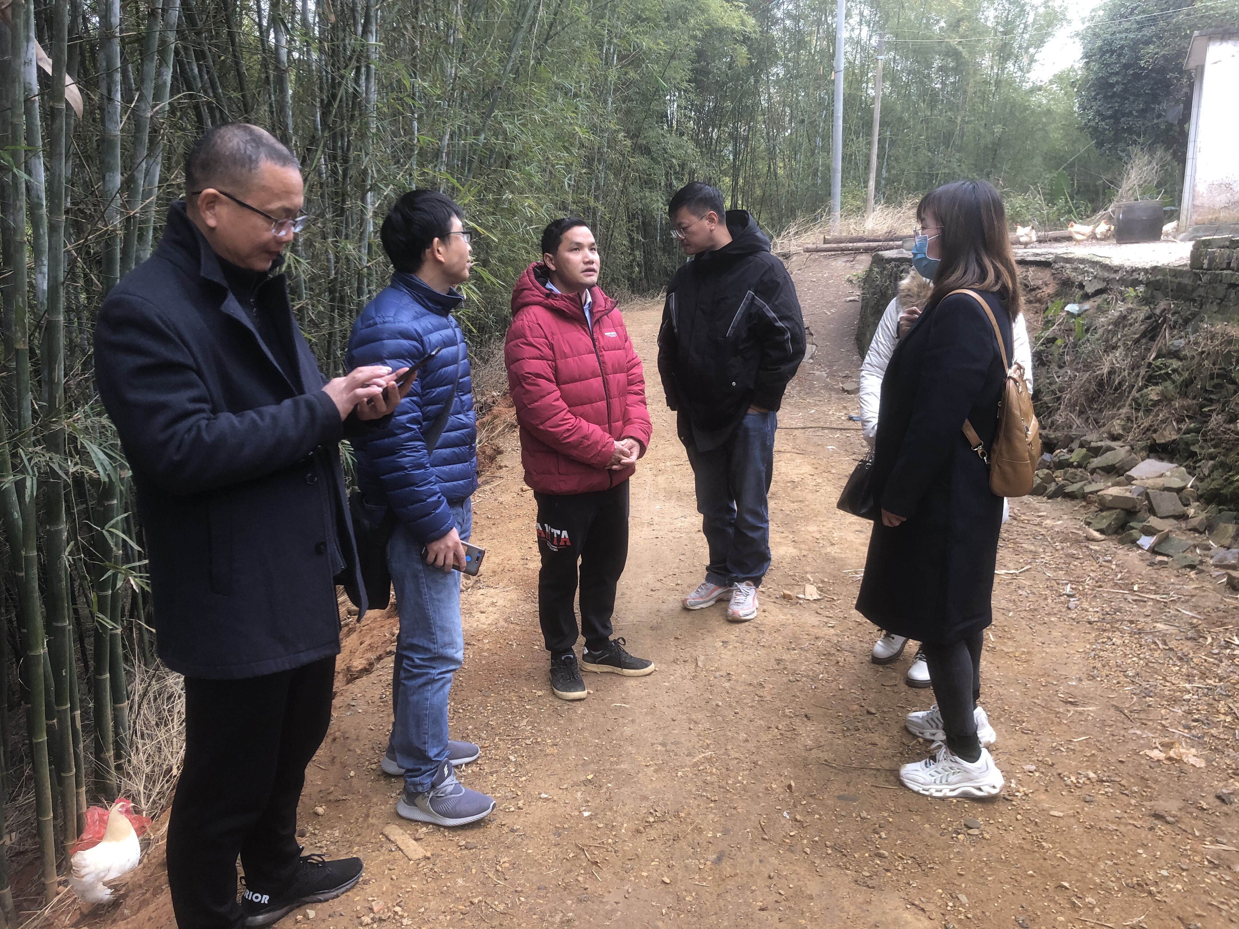 图片说明