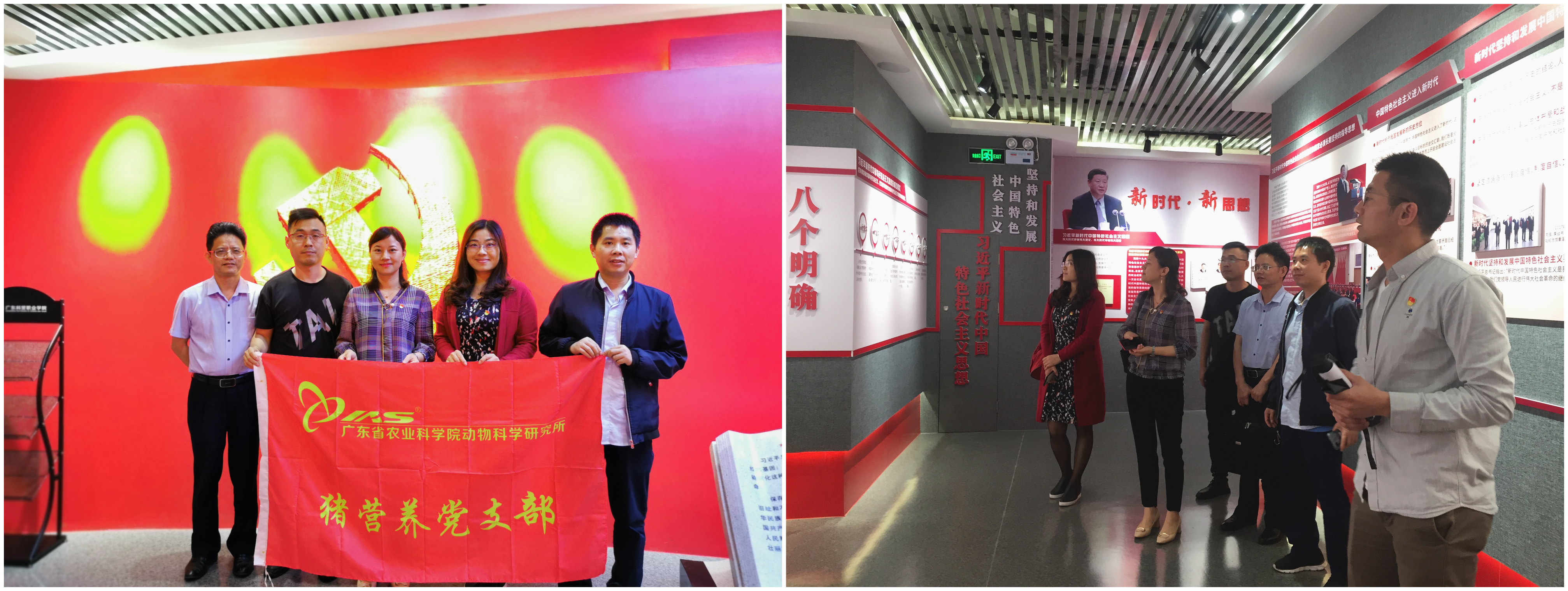 图片说明