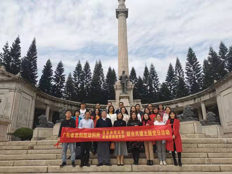 图片说明