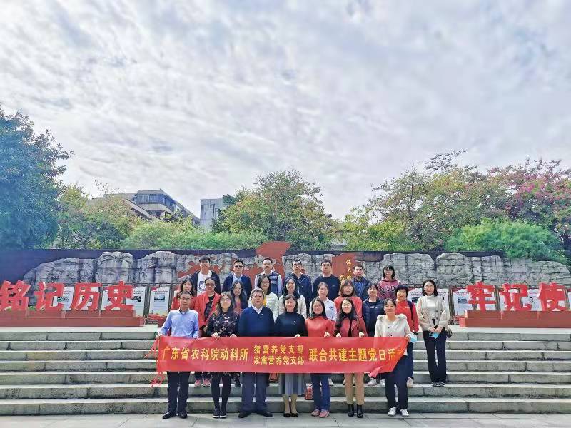 图片说明