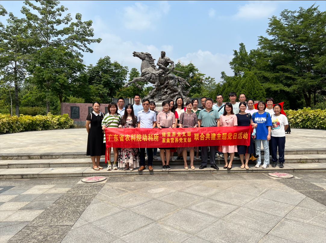 图片说明