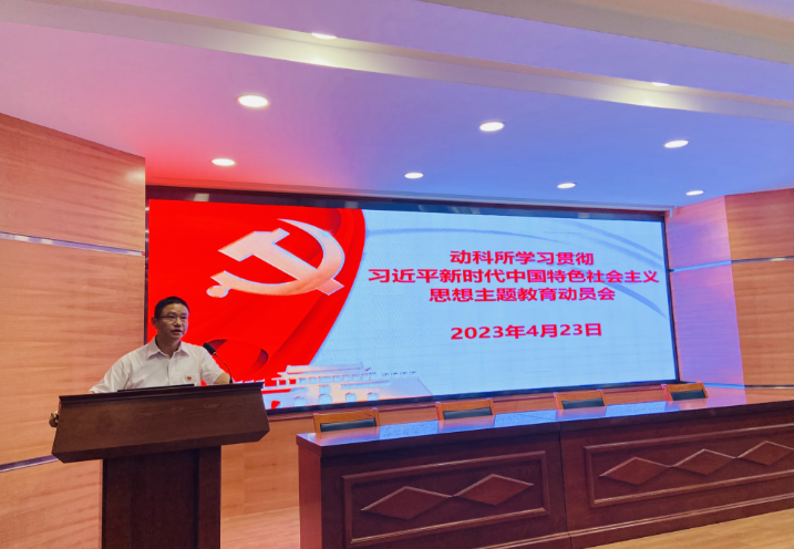 图片说明