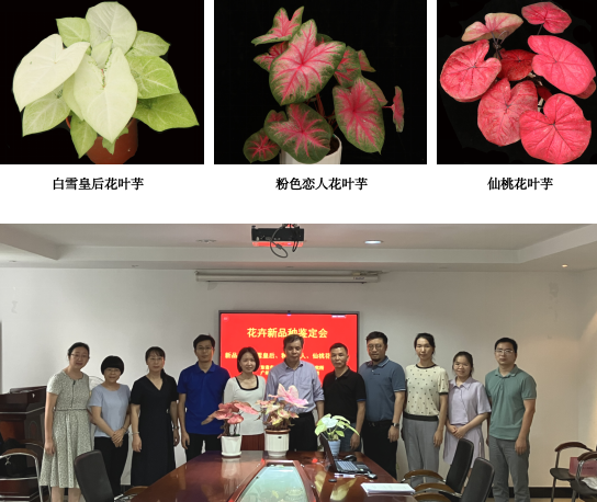 微信图片_20230606111938.png