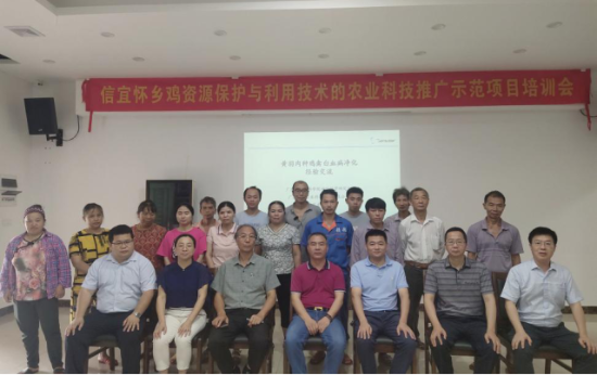 已编辑图片