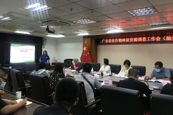 图片说明