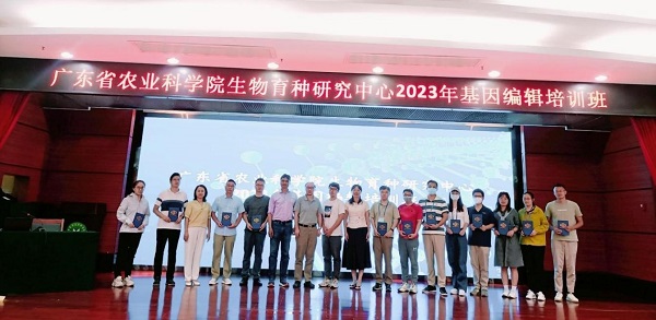 图片说明